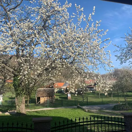 アパート Aurelia