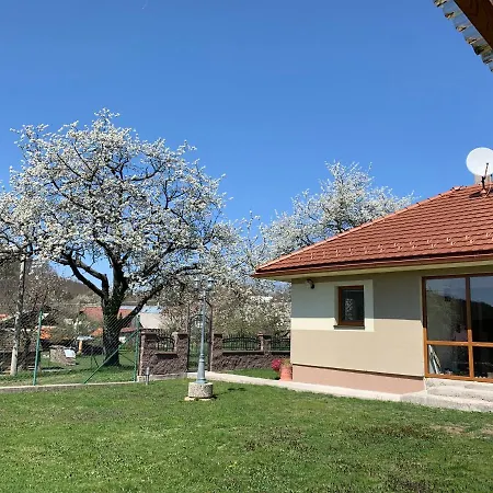 Aurelia * ノヴァ・バニャ