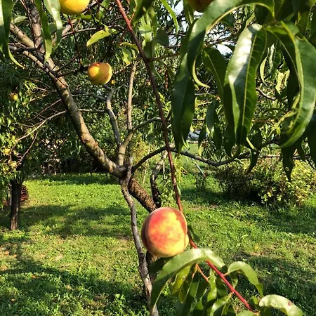 Aurelia Appartamento *