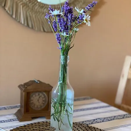 Aurelia Appartamento *